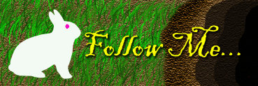 the_magic_of_wonderland001001.jpg
